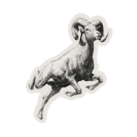 a black and white drawing of a ram