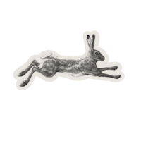 a black and white drawing of a hare on a black background